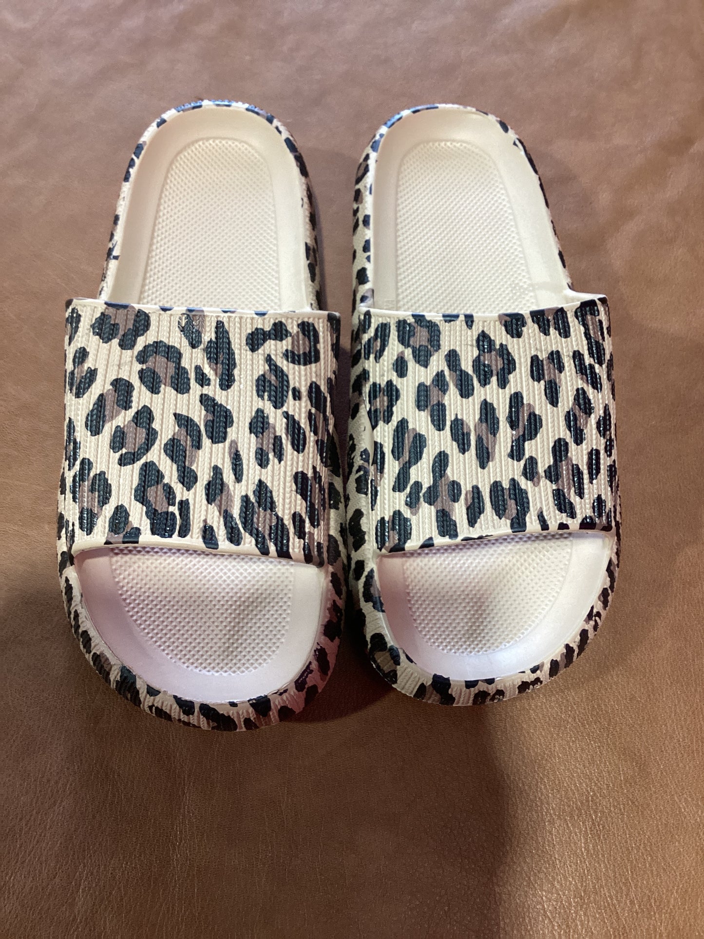 Leopard Cloud Slides