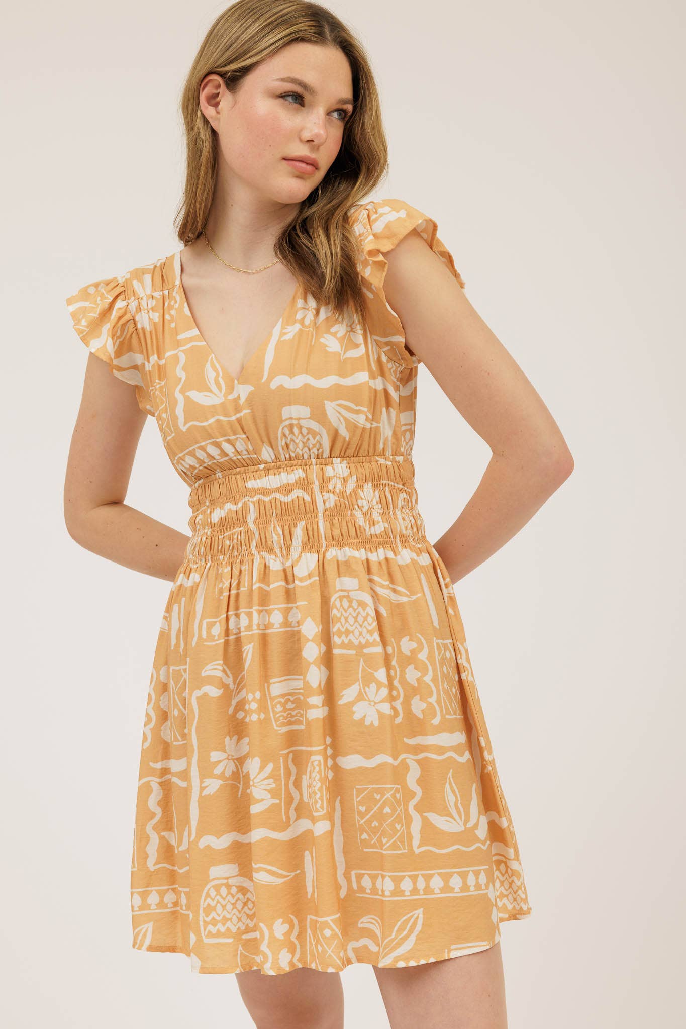 Blu Pepper Print V Neck Ruffle Mini Dress